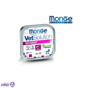 ووم مونژه گربه مدل ریکاوری