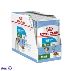 پوچ سگ رویال کنین مدل مینی پاپی