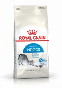 رویال کنین  indoor shorthair