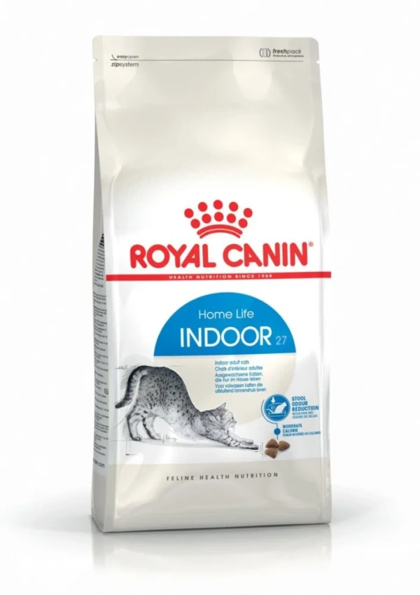 رویال کنین  indoor shorthair